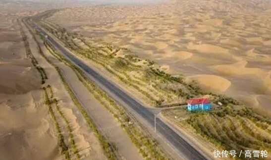 中国最大的沙漠带, 政府花数亿种下大量植物, 如今竟成这个样子