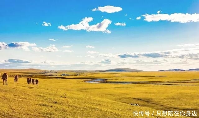 呼伦贝尔的秋天，美的太高级