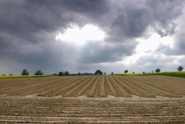  玛雅人@玛雅文明为何突然消失？这一原因无法忽视，人类或在重蹈