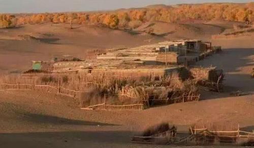  全村|中国最神秘的村庄，全村1300人“躲藏”沙漠深处，却无人离