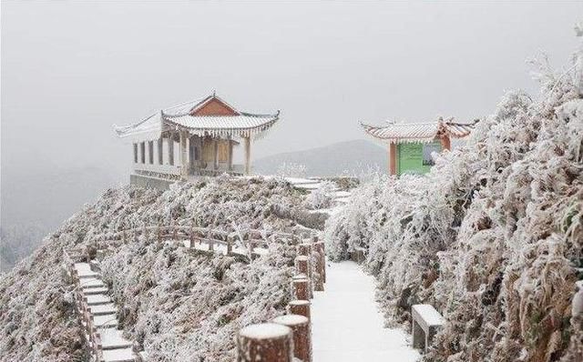 最强冷空气来袭！百色气温骤降跌破零度山区下雪