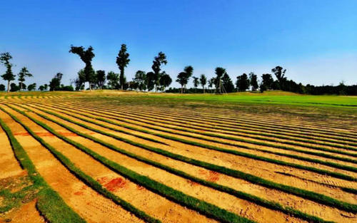 印度小伙制造手推式耕地机,一天耕地10亩,成本只需要200元