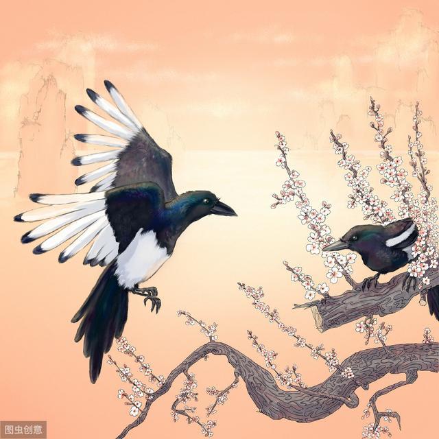  『喜鹊』多才多艺的喜鹊：就算一只小喜鹊，也在仪式感十足的生活着
