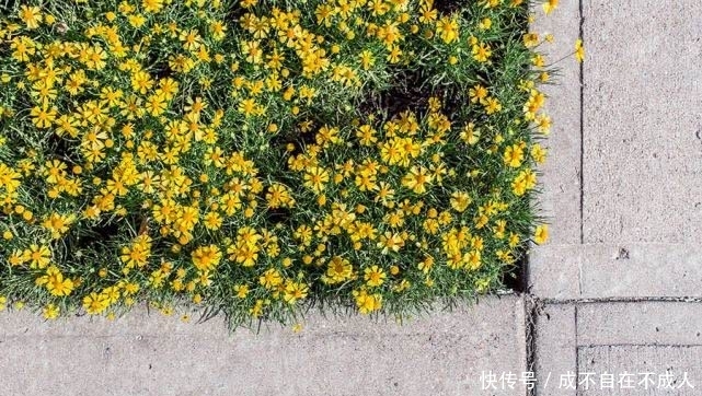  「正确」夏日炎炎，如何正确护肤抗衰老？