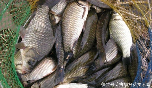  技巧@钓跑铅也有技巧，不同钓况不同跑，渔获肯定好！