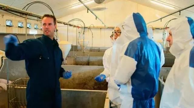 4000万猪农危机了!全球最大猪企杀入中国，这种打法让大家服了