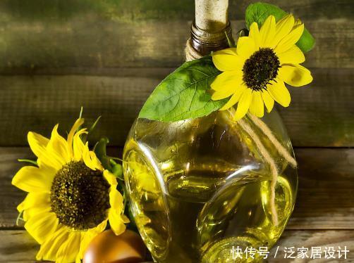  植物@变废为宝早知道，废弃玻璃瓶一个别扔，简单改造下还有大作用！