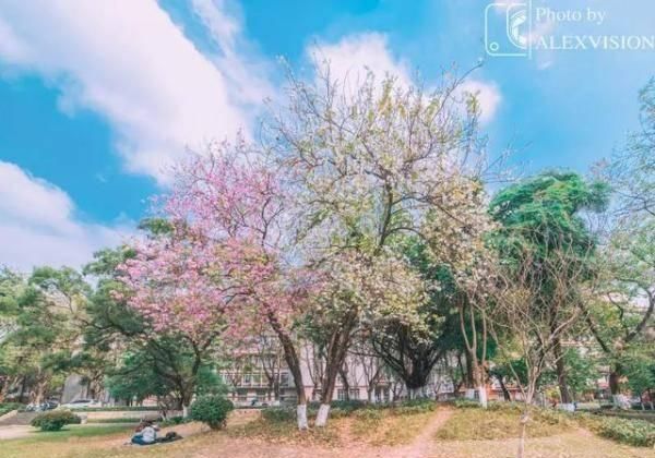  【出门】一出门就有地铁？这些大学交通也太方便了吧