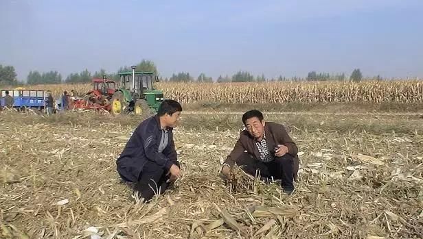 当初专家鼓励秸秆还田，现在弊端显现，农民气哭了：损失谁来负责