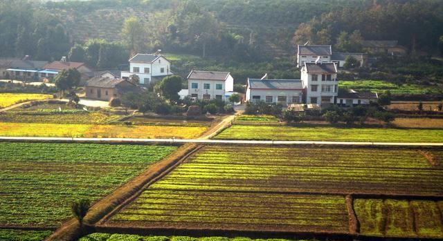  「土地承包经营权」关于农村土地流转，看这一篇文章就够了