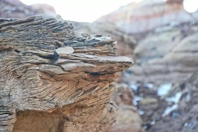 服气！接近零下20度，这台10多万的SUV还敢爬山撒野