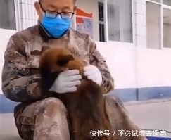 『主人』暖心警队养丢失狗狗,并为其寻找主人