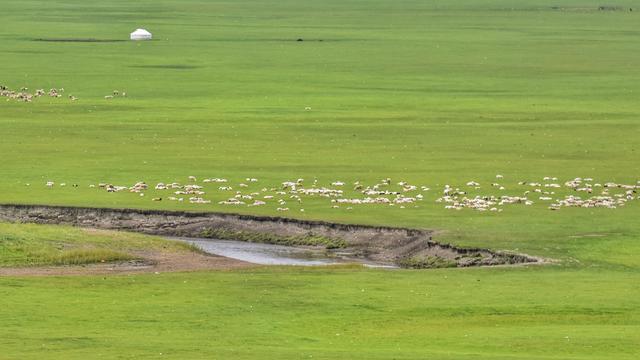 中国最大的草原！面积堪比一个浙江省，风景美到让人惊艳