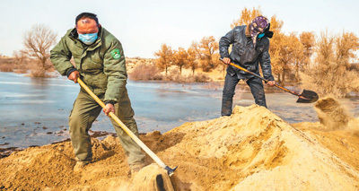  解渴|孔雀河生态输水 “解渴”荒漠植被（走近自然）