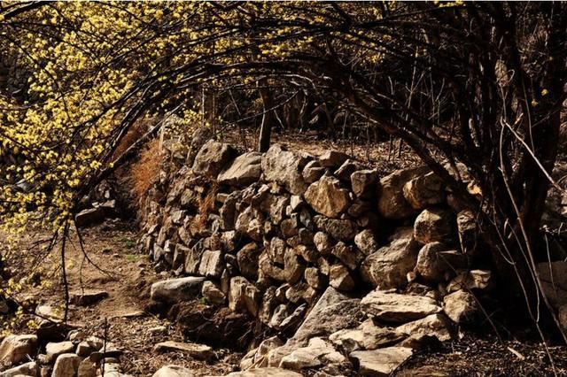 河南这个遗落在深山峡谷中的村落，古朴幽静像世外仙境