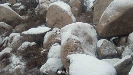 雪来啦！青岛崂山巨峰迎来今冬第一场雪 敲美