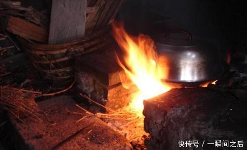 农民把它当柴烧，却不知它是珍贵的“黄檀”，价值比紫檀还高