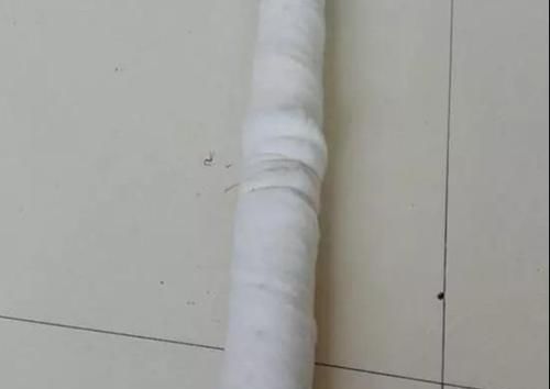  『绿萝盆』绿萝盆里插根柱，1个月就爬满，长得太旺盛了！