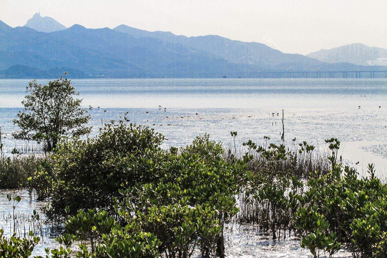 未来的全球标杆城市：两国举国模仿均未成功，未来或将替代香港
