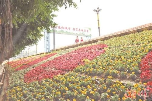  『爱绿护绿』绿了凤城 乐了市民