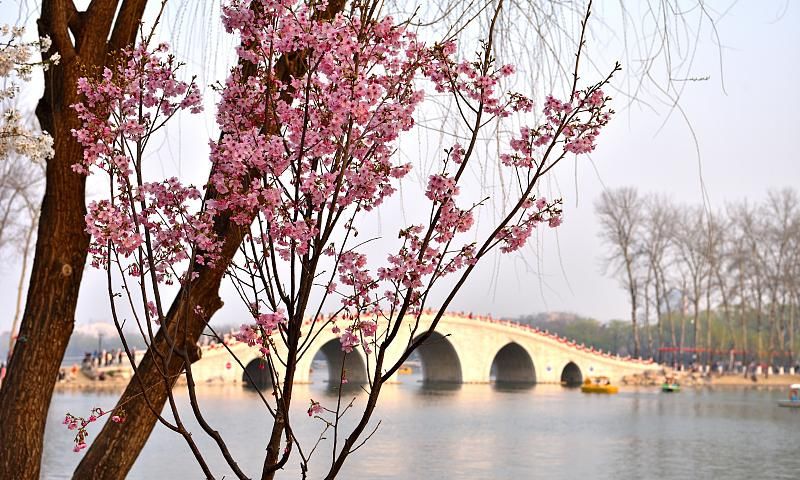  「游客」准备出游的游客们注意了！盘点适合4月份出游的国内景点，快收藏！