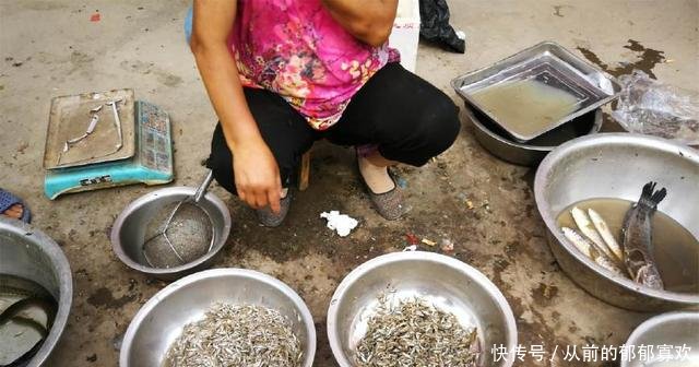 渔民用“地笼”捕捞这种鱼来卖，每盆要有数万条，太狠！