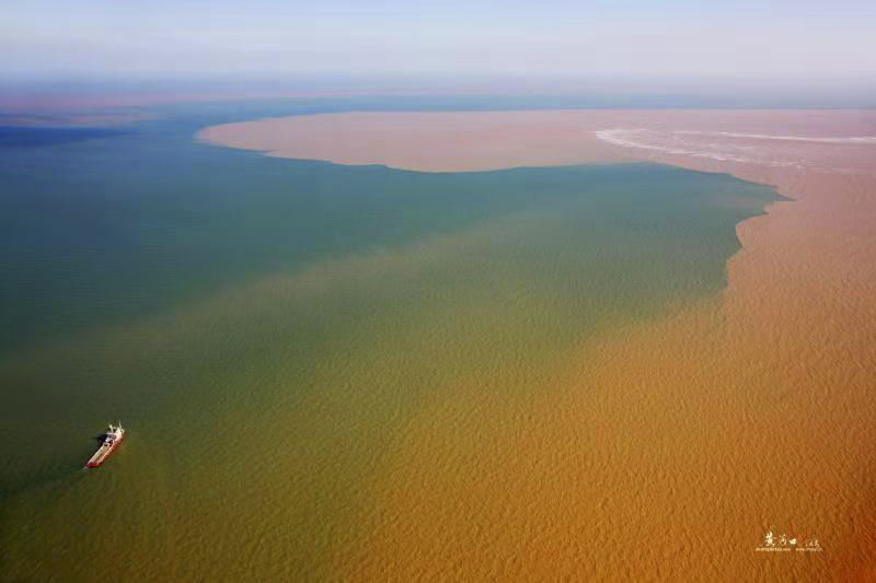 东营丨走过沧海桑田，终是在芦花飞雪的秋日遇见你