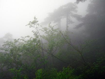 盘点风景独特的旅游景点，从你所熟知的张家界天子山、合肥翡翠湖