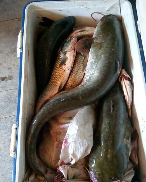  「泡沫箱」万峰湖真的是钓鱼人的天堂吗？