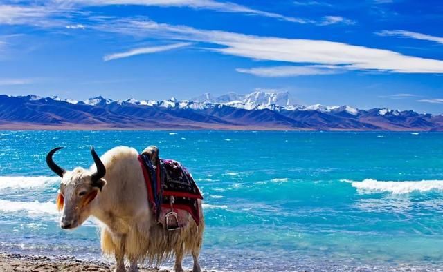 《国家地理》排名前15，被无数人向往的国内景点，你去过几个？