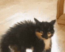 专治头发炸毛，自带按摩功能的保湿气垫梳