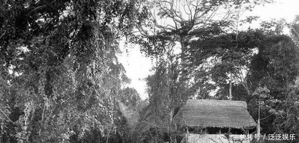 17岁女孩空难中摔断一条肋骨,热带雨林里独自