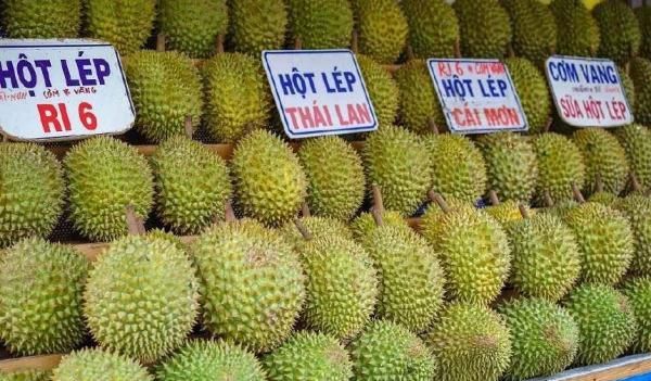泰国榴莲滞销无人问津,各国纷纷取消订单,都怪中国游客?