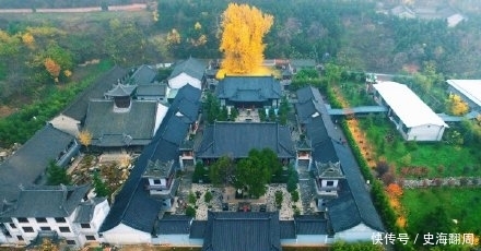 西安的千年银杏火了!但只有本地人知道,这些美景完全不输银杏…