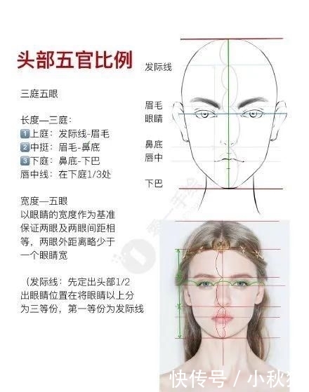  『绘制』服装效果图之（头部五官及“三庭五眼绘制教程）