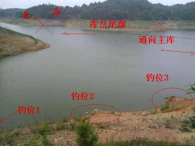  『屁股』为什么老钓手常说“屁股决定渔获”附图说明