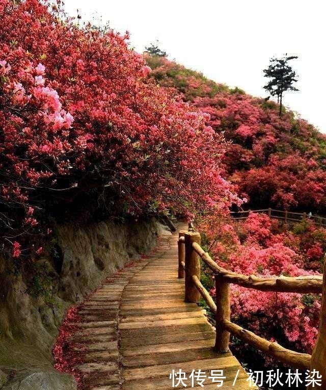 “木兰八景”之云雾山