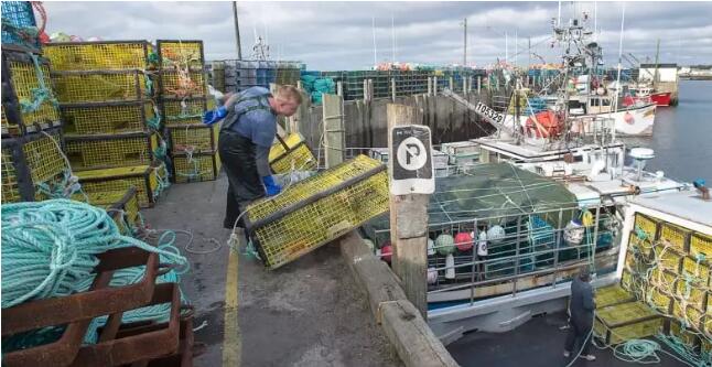北美波龙"倾销",祸及加拿大出口,商家须承受贸易格局变化带来