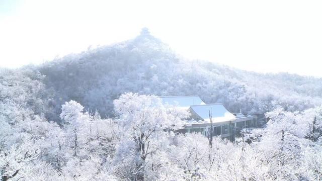 张家界天门山迎今冬首雪 瑞雪、雾凇、云海三景交融