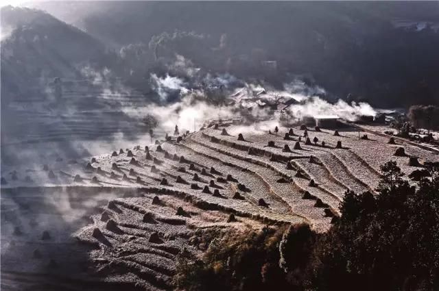 她们都嫁给了农民，但城里人还追到大山里