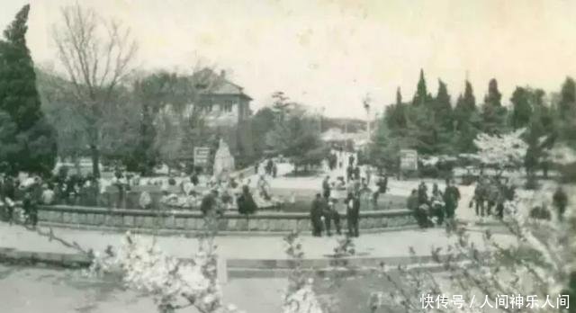一组中山公园老照片，是否有你熟悉的身影、美好的回忆！
