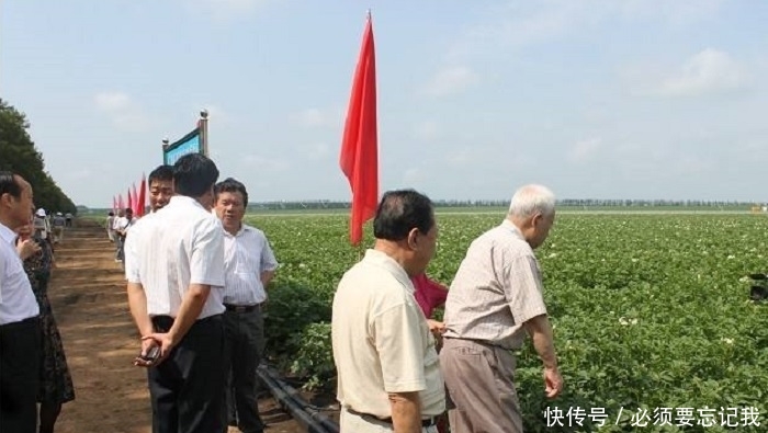 日本人在山东租了1500亩农地，却闲置5年之久，他们想干嘛？