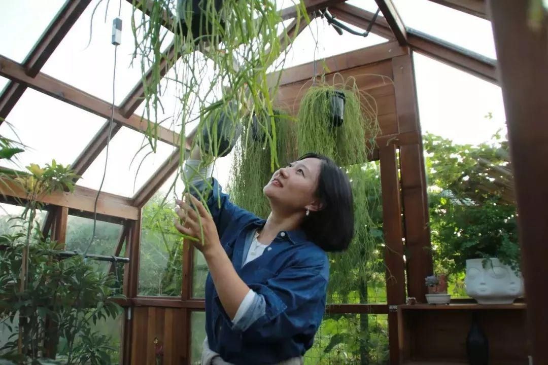  『花房』你在梦想有一个花房的时候，别人家的姑娘已经用一亩地实现了