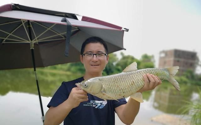  『据对象鱼』夏天下风口真的好钓鱼，只是要找对位置，还要用对方法