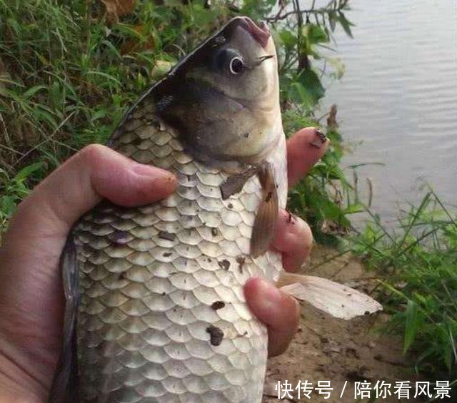  「口罩」还在“偷偷”去钓鱼的朋友，看了你还敢去吗