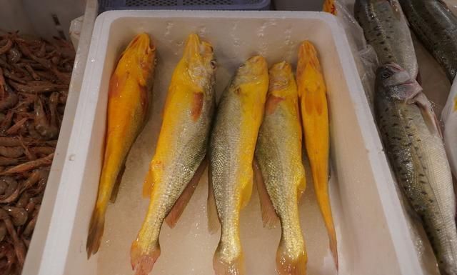 自驾走过广西广东海南，来到福建霞浦三沙，带你看看渔村海鲜价格