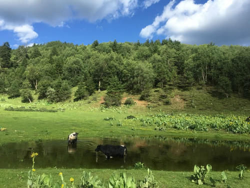 安徽定居“最爽”的三个城市，不是合肥也不是芜湖，其中一座你能