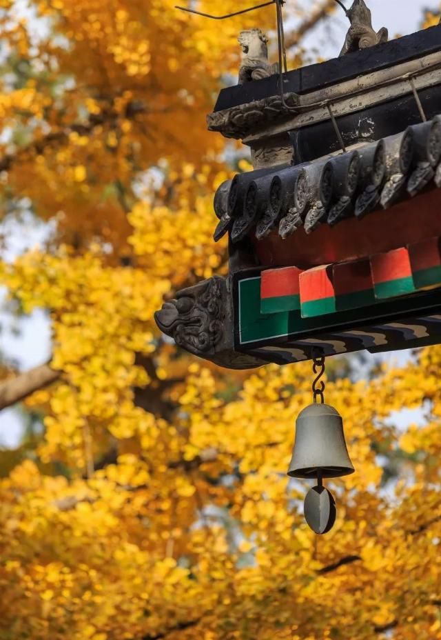 专属于十月的旅行目的地 你知道几个？