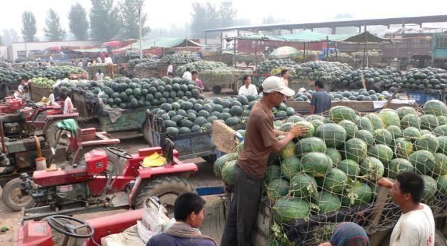 西瓜“成灾”2毛一斤收购，顾客却吃不起，问题出在哪？