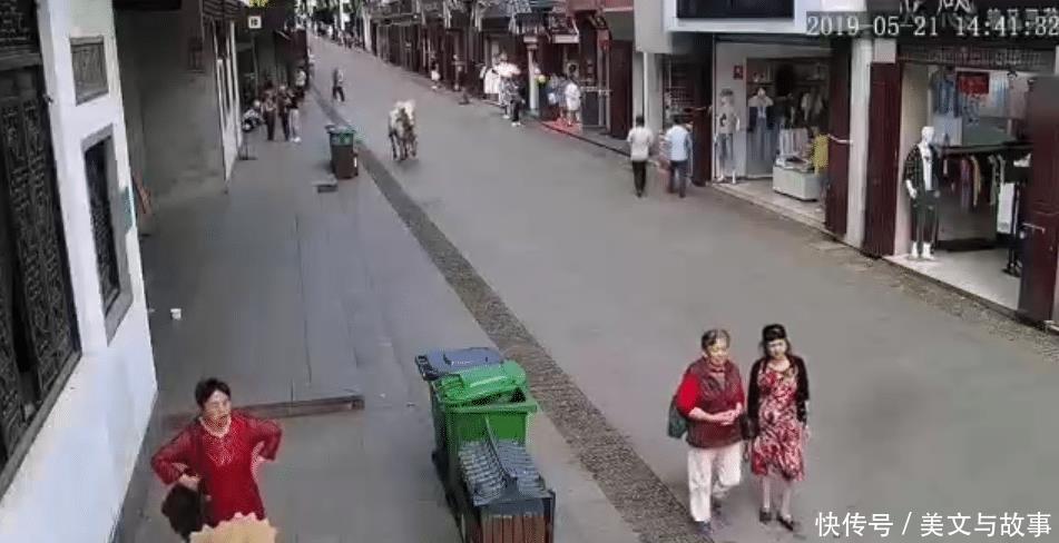老人:“白龙马”从天而降,一路风行电掣,撞飞七旬老人